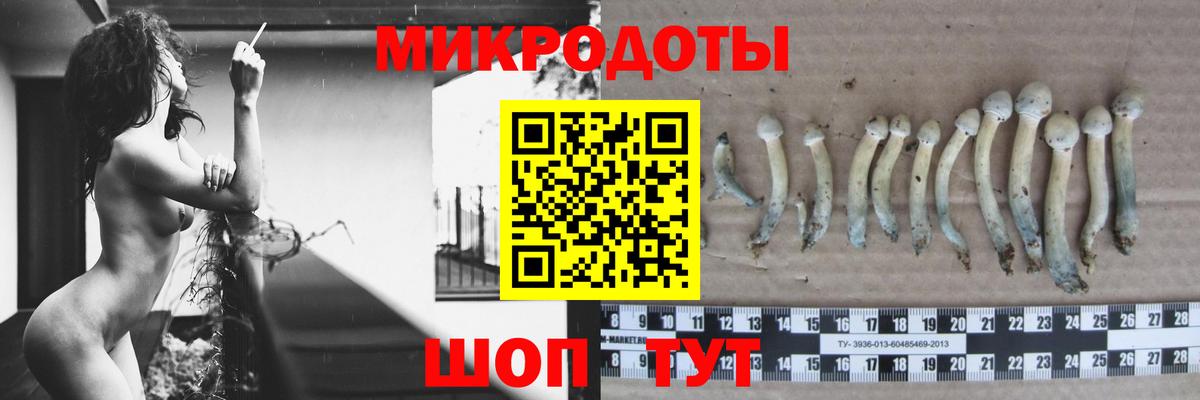 Псилоцибиновые грибы Psilocybe  Вход с VPN  Каменск-Уральский 